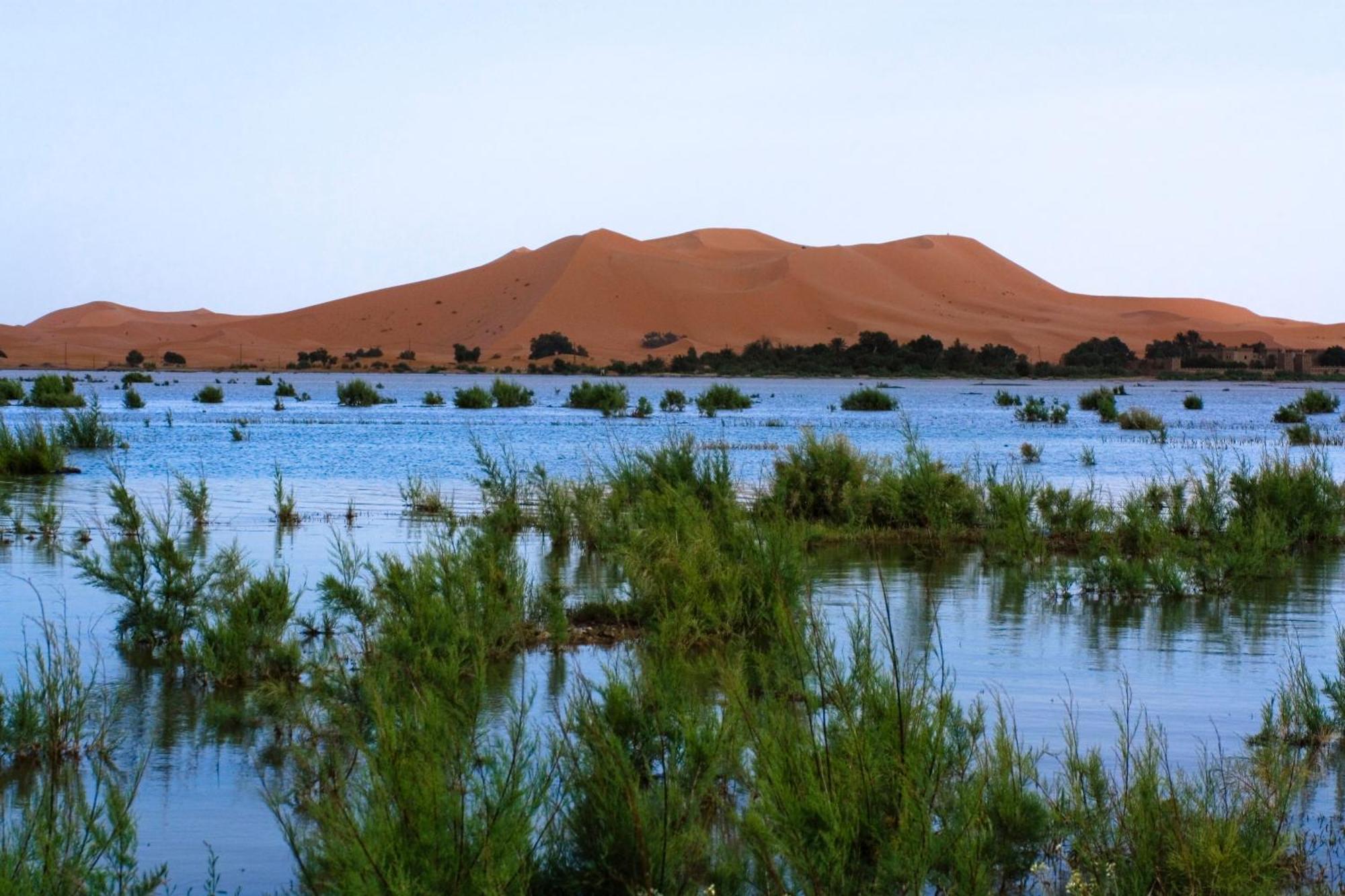 Auberge De Charme Les Dunes D´Or Merzouga Buitenkant foto